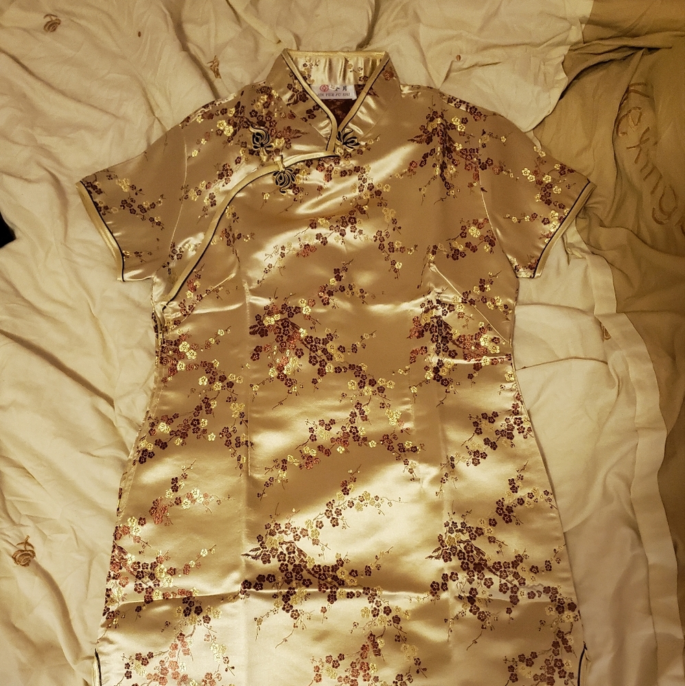 Asian Dress (Qipao)